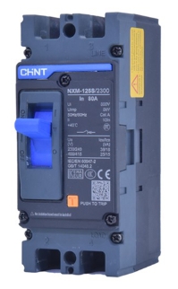 Breaker caja moldeada Chint, Polos 2, 225A