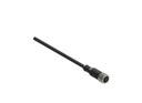 Conector cableado hembra M12: recto, 5 polos, cable de 5 m