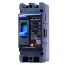 Breaker de caja moldeada Chint -2 Polos 160A